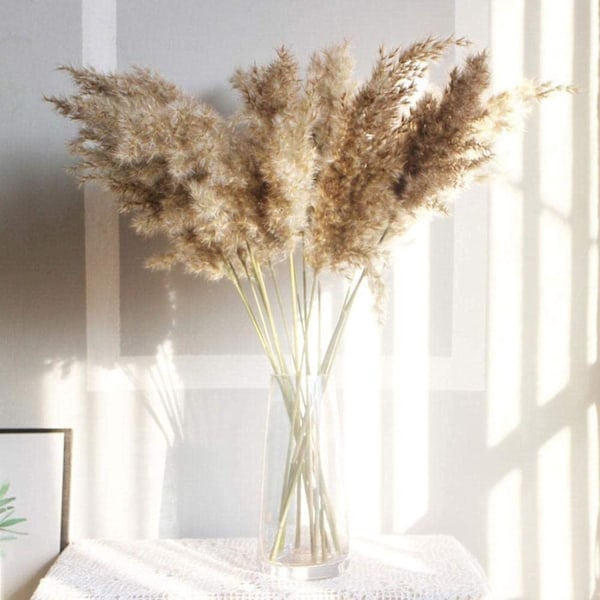 Elegant Naturligt Torkat Pampasgräs, Fluffiga Stjälkar Förhöjer Din Boho-bröllopsdekor, Rustik Bröllopsdekor (30/50 st)