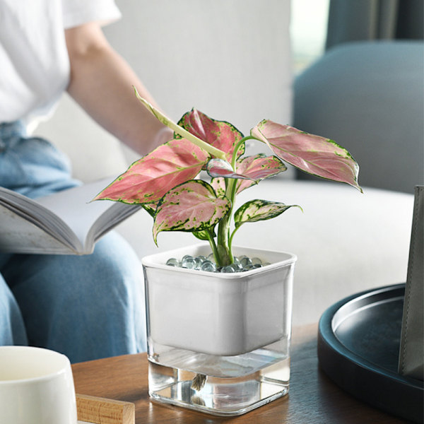 Water Absorption Planter Indoor Self Absorbed Watering Pot Flower Container for Office Home White