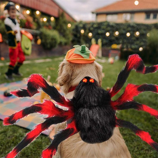 Husdjurskostym Spindel Halloween Pet Cosplay Hundkattdräkter