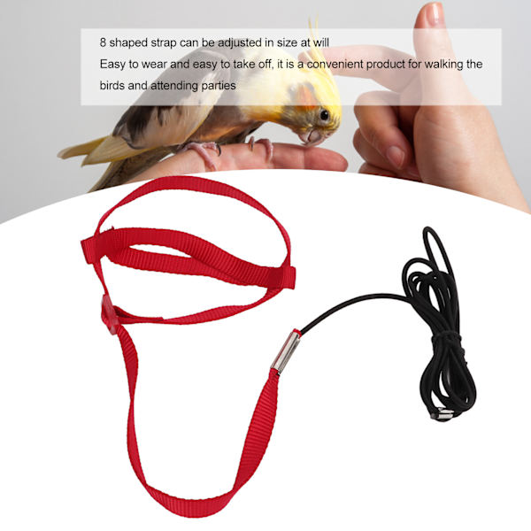 Linnun talutushihna, purentakestävä, säädettävä papukaijan lentokoulutusköysi kävelyyn ja juhliin, punainen, S-koko