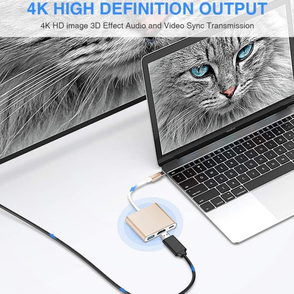Type-C-sovitin, USB 3.1 -keskitin (USB-C- ja Thunderbolt 3 -portti