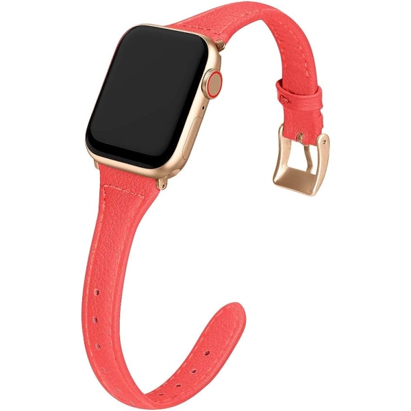 Kompatibel Apple Watch Band 38mm 40mm 42mm 44mm Damer, Slim