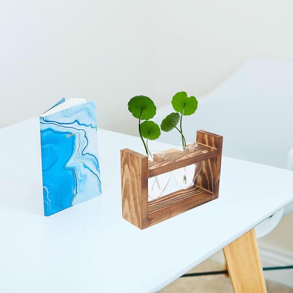 Växtterrarium glasvas för hydroponisk inomhusvisning 5 st