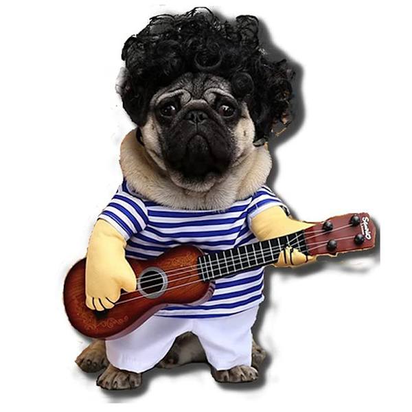 Guitar Hundekostumer Kæledyr Tøj Hundeklæder Dragt til Hvalp