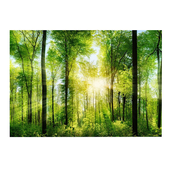 3D-effekt självhäftande skogsaffisch för akvariedekoration 61 x 41 cm