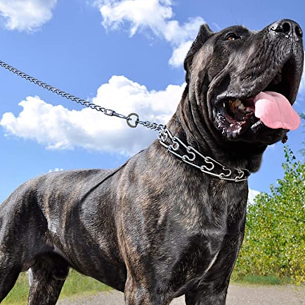 Metallhundekobbel, hundekjede med polstret håndtak for hunder