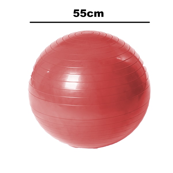 Exercise Ball Extra Thick Professional Grade Balance &