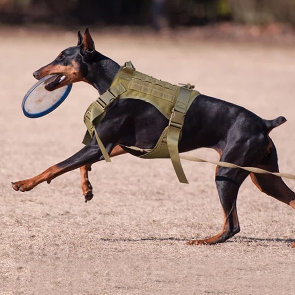 Koiran valjaat Military Dog Vest -pantahihna, jossa on pussi ja