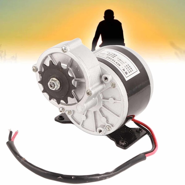 DC Børstet Motor 12V 250W 13 Tand Reducer Motor til Elektriske Cykler Små Motorcykler Landbrugsmaskiner