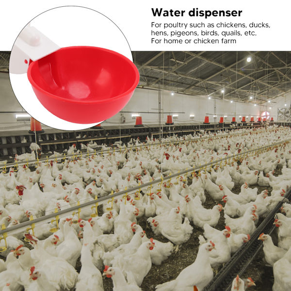 10 Set Kyckling Drickkopp Automatisk Vatten Drickare Stor Röd Plastskål för Anka Fågel Höna G1/2