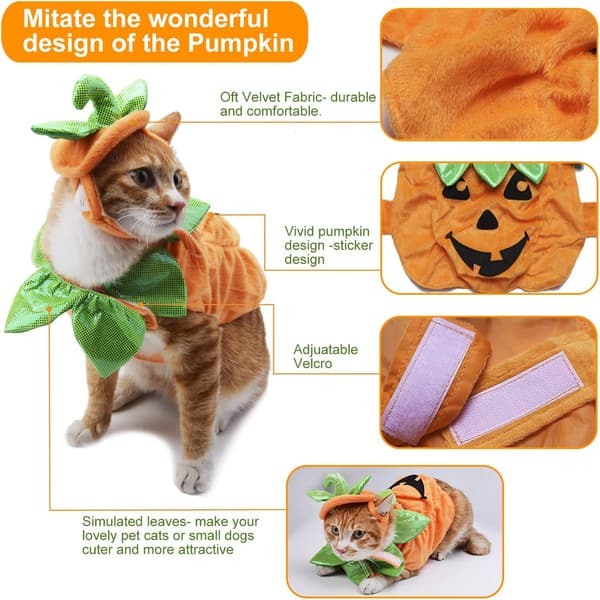 1 stk. kattekostume, Halloween kattekostume græskar cosplay kostume, A