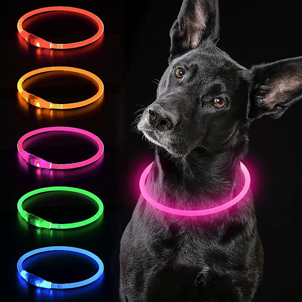 LED-halsbånd for hund, oppladbar USB med blinkende lys