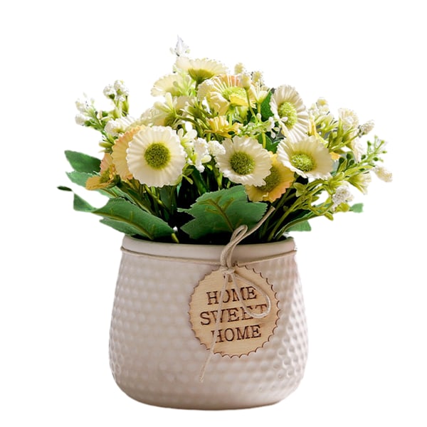 Flower Plants Desktop Decoration Interiors for Home and Office