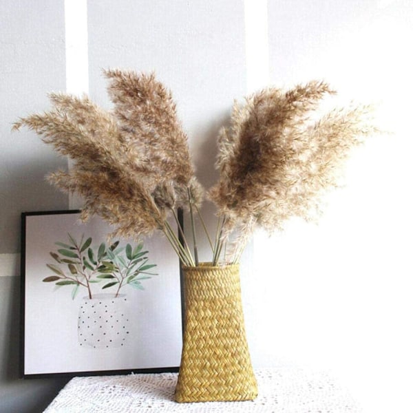 Elegant Naturligt Torkat Pampasgräs, Fluffiga Stjälkar Förhöjer Din Boho-bröllopsdekor, Rustik Bröllopsdekor (30/50 st)