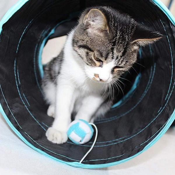 Kattunnel, hopfällbar, 3-vägs kattunnel, med klockor för hundar