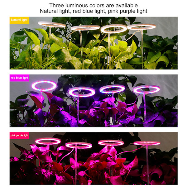 LED växtlampa Full Spectrum USB växtlampa Timing 5 nivåer dimning för inomhus växt odling röd blått ljus