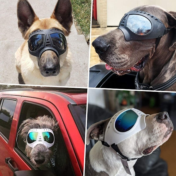 Hundglasögon Ögonskydd Vindtät med Justerbar för Små