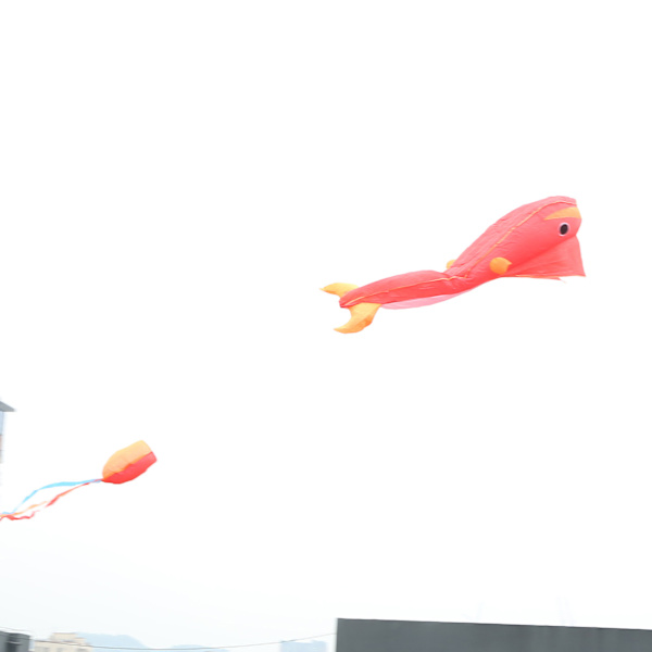 Delfinkite i polyester, 3D-tecknad djur, mjuk parafoil, utomhusleksak för barn, röd