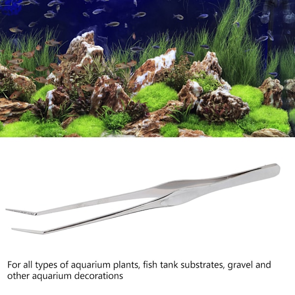 Akvarium Pinsett Buet Langt Håndtak Takket Spiss Rustfritt Stål Fisk Reptil Fôring Tong for Fisk Tank Anlegg 9.8in
