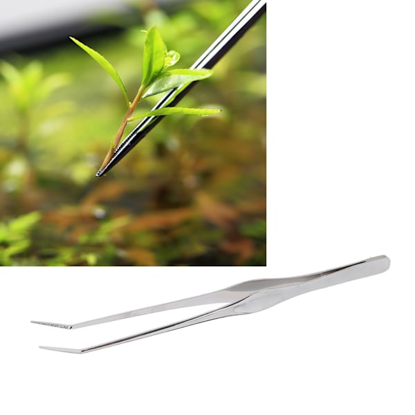 Akvarium Pinsett Buet Langt Håndtak Takket Spiss Rustfritt Stål Fisk Reptil Fôring Tong for Fisk Tank Anlegg 9.8in