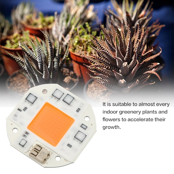 LED Chip Full Spectrum Plant Grow Light COB Bead Lamp for Greenery Plant Flower 20W