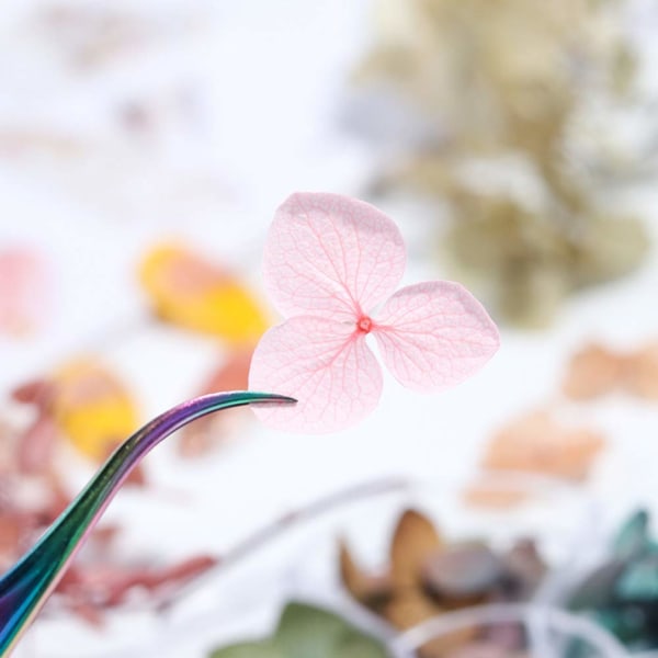 Neglekunst Tørrede Blomster 3D Neglekunst Stickers Farverige Naturlige