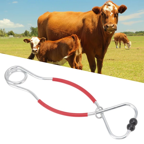 Cattle Bull Cow Nose Pliers Metal Punch Free Strong Traction Cow Pulling Tool for Farm Ranch Veterinary L Red