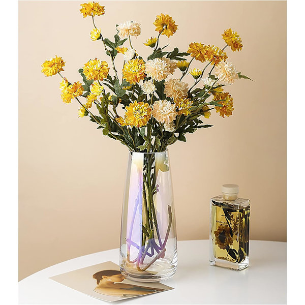 Ins Moderne Glass Vase - Iriserende Krystallklar Glass Vase for Hjemmet