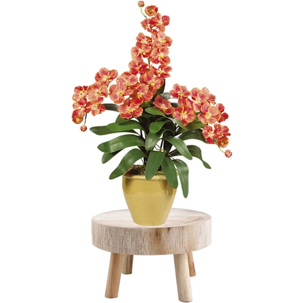 Träkruka stativ, blomkruka hållare, växtdisplay stativ