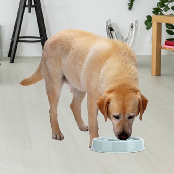 Fôringsskål for kjæledyr som spiser sakte, for hund og katt, anti-sluke-mater, valp lærer å spise skål, sakte mater, lær å spise for å forhindre kvelning: Blå stjerne 21,5 cm / 8,5 tommer