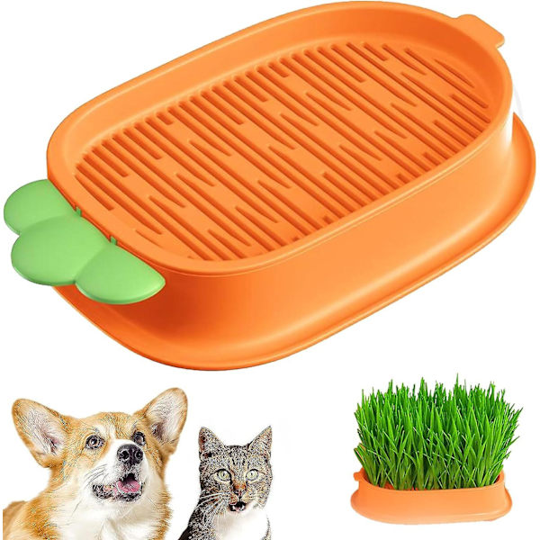 Kattgräsodlingsset, fönsterträdgårdssats, hydroponisk kattgräsbox, kattgräsfröbricka, hydroponisk planteringskruka för katt och hund