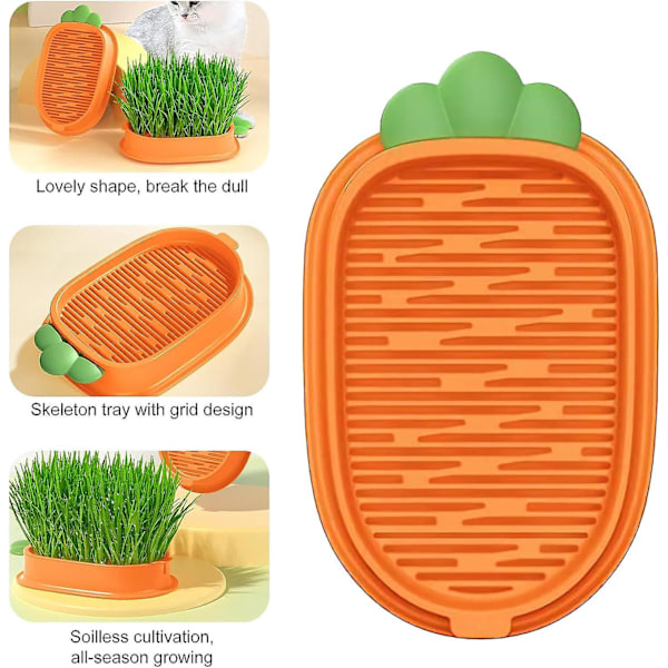 Kattgräsodlingsset, fönsterträdgårdssats, hydroponisk kattgräsbox, kattgräsfröbricka, hydroponisk planteringskruka för katt och hund