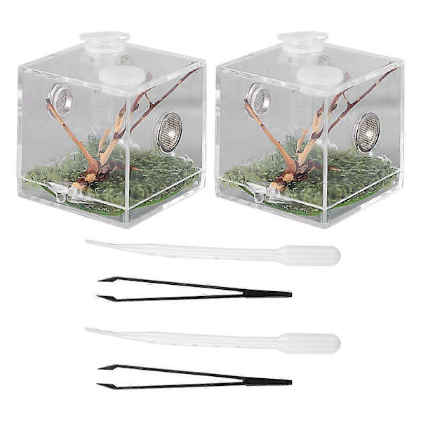 Snigel Terrarium Orm Terrarium Tank Spindel Matningslåda Reptil Matningslåda Spindel Avelslåda