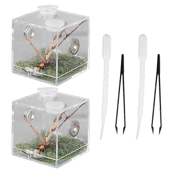 Sneglet terrarium Slange terrarium Tank Edderkopp matingboks Reptil matingboks Edderkopp avlsboks