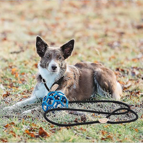 1,4 m Nylon Hundeleie, Svart Tau Hundeleie, Tau Hundeleie, Hundetreningsleie, Glidende Hundeleie, Hundelasso Leie, Hundeleie Halsbånd For Små Og Mellomstore