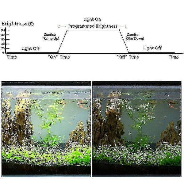 Akvarium lyskontroller 4 moduser soloppgang solnedgang Akvarium dimmer LED lys for fisketank lampe timer