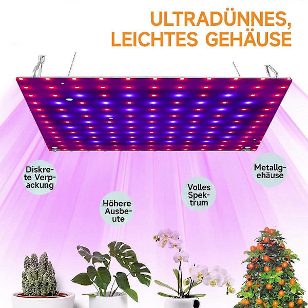 LED täyden spektrin 169 LEDin riippuva kasvivalo ripustuskoukulla sisäkasvatukseen