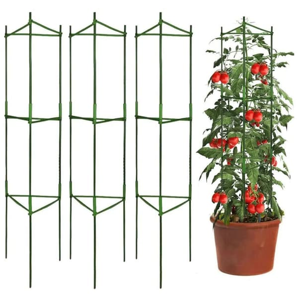 Tomatburkar, tomatväxtstöd för trädgårdsväxter