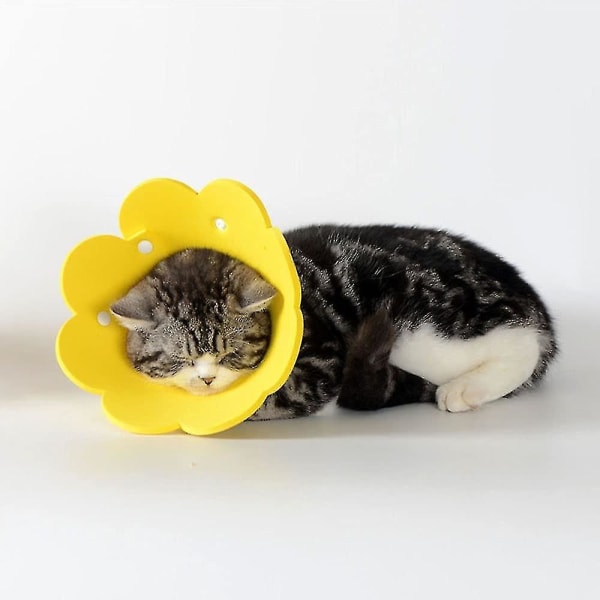 Lemmikkien nuolemisen estävä kaulapanta, säädettävä 19-26 cm, kevyt suojapanta Elizabethanin kissanpanta (keltainen, M)