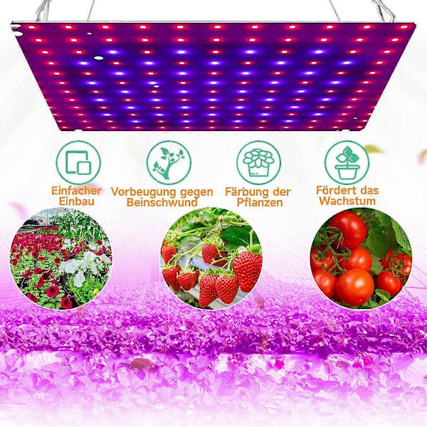 LED täyden spektrin 169 LEDin riippuva kasvivalo ripustuskoukulla sisäkasvatukseen