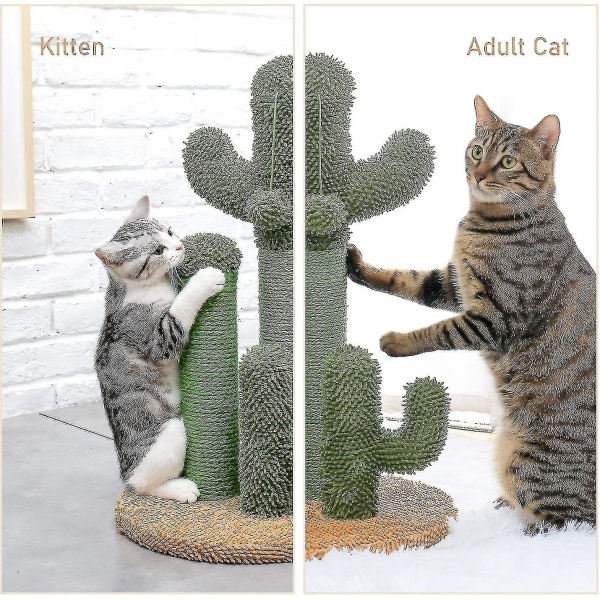 Veeki Cat Scratching Post Cactus Cat Scratcher med 3 skrabestænger og interaktiv dinglende bold