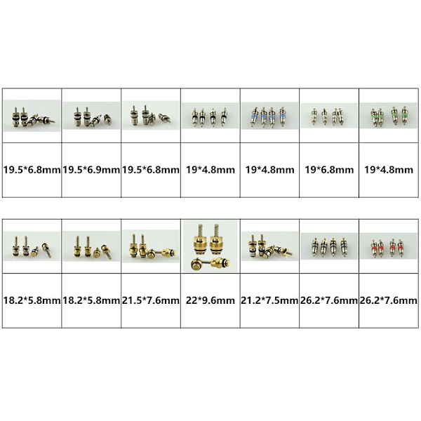 Auto-kjølesystem Schrader-ventilkjerner A/c Schrader-ventiler R12- R134a-sett