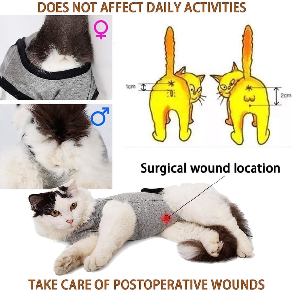 Medicinsk Kitten Jumpsuit Anti-slikende restitutionsdragt til hunde og katte Sår og hudsygdomme Indendørs Xh008 (m, Grå)