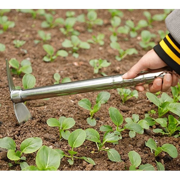 Hagehakke, 2 i 1 spade og hakke, gravehakke hageverktøy kraftig rustfritt stål grønnsak blomsterplanting gravegadget