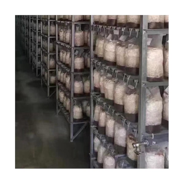 100st svampodlingspåsar Svampspåsar Tjocka 6 påsar 6 tum X 20 tum 0,2 mikrometer filter