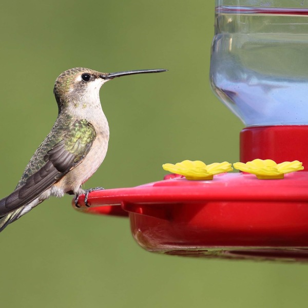 Erstatningsblomster for kolibrimater, erstatningsdeler for utskifting av fødeport for fuglemater til hengende mater for kolibri (gul, 16 stk)