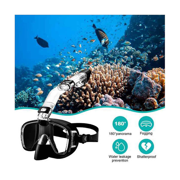 Dykmask med Anti-Immande Snorkelset med Fullt Tork för Fri Simning Professionell Snorkelutrustning