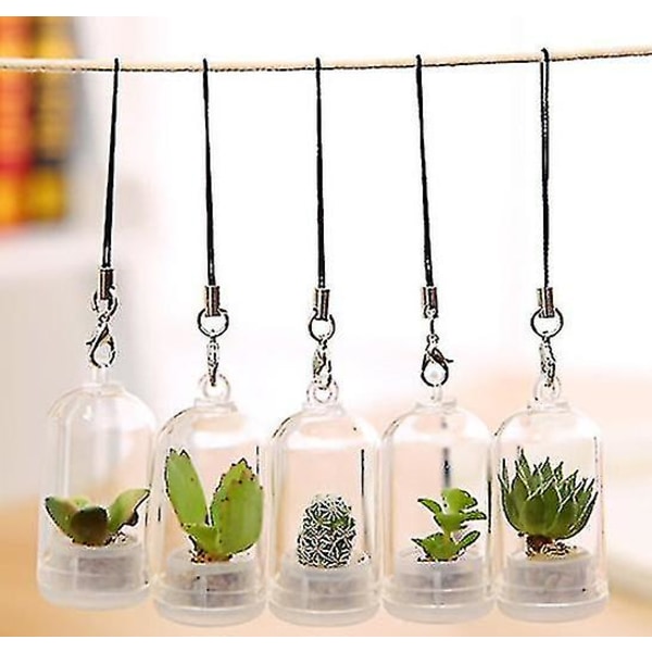 Creative Mini Simulering Sukkulent Plant Glas Nøglering