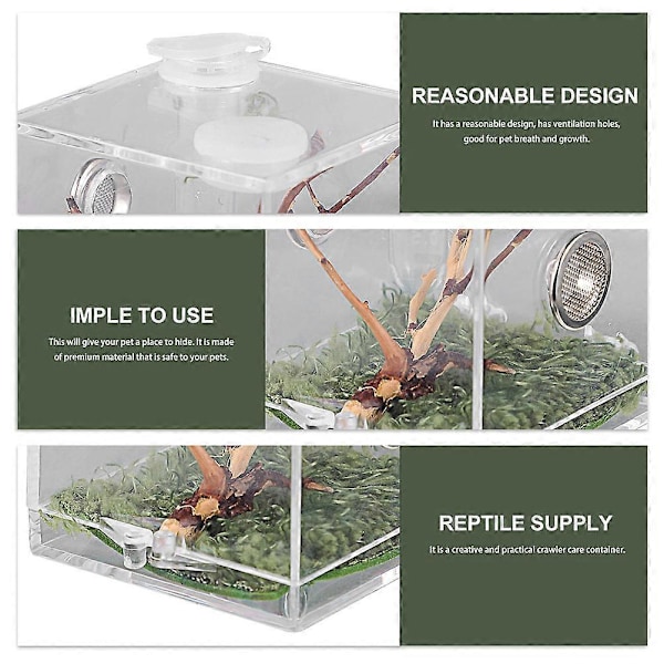 Snigel Terrarium Orm Terrarium Tank Spindel Matningslåda Reptil Matningslåda Spindel Avelslåda