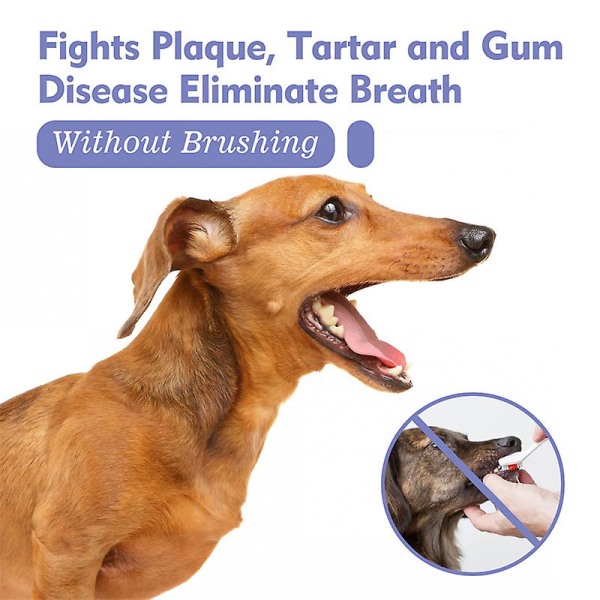 Petoralspraytænderengøringfordhunde&katte dårlig åndefjernelse af tjærepladefjernelse